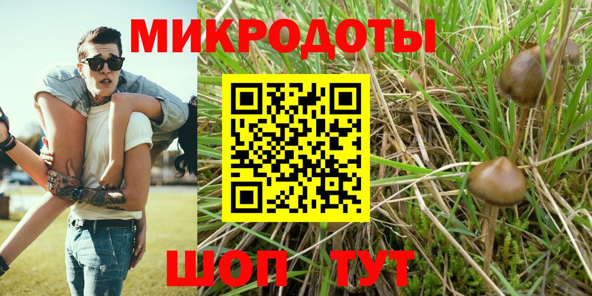 Псилоцибиновые грибы Magic Shrooms Камышлов