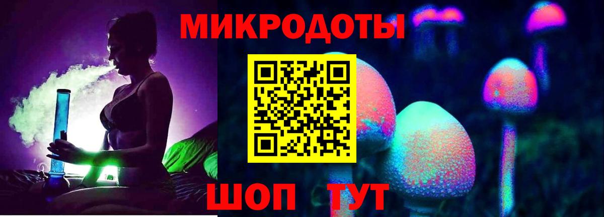 купить наркотики сайты  Галлюциногенные грибы Psilocybine cubensis  Вход с VPN  Галлюциногенные грибы Psilocybine cubensis  Камышлов 